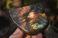 Polished Labradorite Standing Free Forms  x 6 From Tulear, Madagascar