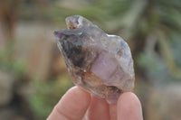 Natural Royal Zulu Window Amethyst Crystals x 12 From, South Africa