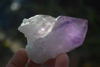 Natural Single Jacaranda Amethyst Crystals x 12 From Mumbwe, Zambia