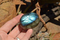 Polished Flashy Labradorite Palm Stones  x 20 From Tulear, Madagascar - TopRock