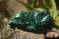 Natural Chatoyant Silky Malachite Specimens  x 5 From Kasompe, Congo - TopRock