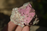 Natural Salrose Cobaltion Dolomite Specimens x 12 From Kakanda, Congo