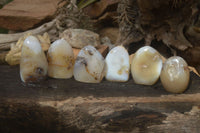 Polished Dendritic Agate Standing Free Forms  x 6 From Moralambo, Madagascar