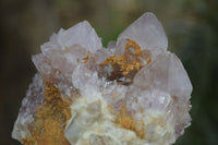 Natural Spirit Amethyst Quartz Clusters  x 6 From Boekenhouthoek, South Africa - Toprock Gemstones and Minerals 