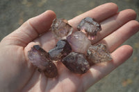 Natural Single Smokey Amethyst Crystals  x 20 From Chiredzi, Zimbabwe - Toprock Gemstones and Minerals 