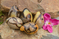 Polished Septaria Dragon's Eggs (Calcite & Aragonite) x 5 From Mahajanga, Madagascar - TopRock