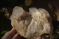 Natural Cascading Smokey Quartz Clusters x 2 From Luena, Congo