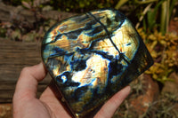 Polished Labradorite Standing Free Forms With Intense Blue & Gold Flash x 2 From Sakoany, Madagascar - TopRock