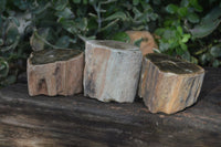 Polished Petrified Wood Branch Pieces  x 3 From Gokwe, Zimbabwe - Toprock Gemstones and Minerals 