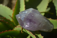 Natural Jacaranda Amethyst Crystals x 12 From Mumbwa, Zambia