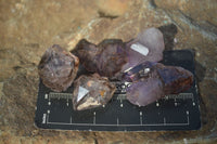 Natural Single Smokey Amethyst Crystals  x 20 From Chiredzi, Zimbabwe - Toprock Gemstones and Minerals 