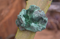 Natural Chatoyant Silky Malachite Specimens  x 12 From Kasompe, Congo - Toprock Gemstones and Minerals 