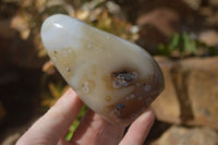 Polished Dendritic Agate Standing Free Forms  x 6 From Moralambo, Madagascar