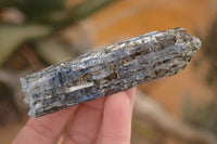 Natural Single Blue Kyanite Crystals  x 13 From Karoi, Zimbabwe