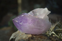 Natural Single Jacaranda Amethyst Crystals x 12 From Mumbwe, Zambia