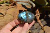 Polished Flashy Labradorite Palm Stones  x 20 From Tulear, Madagascar - TopRock