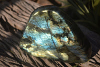 Polished Extra Large Labradorite Standing Free Form  x 1 From Tulear, Madagascar