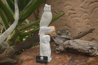 Polished Sparkling White Marble Owl Sculpture  x 1 From Zimbabwe - TopRock