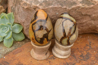 Polished Septaria Dragon's Eggs (Calcite & Aragonite) x 5 From Mahajanga, Madagascar - TopRock