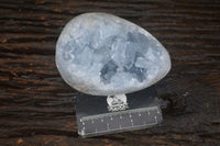 Natural Blue Celestite Crystal Centred Egg x 1 From Sakoany, Madagascar - Toprock Gemstones and Minerals 