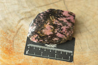 Polished One Side Polished Rhodonite Free Forms  x 5 From Madagascar - TopRock