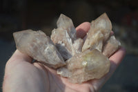 Natural Cascading White Phantom Smokey Quartz Crystals  x 35 From Luena, Congo - Toprock Gemstones and Minerals 