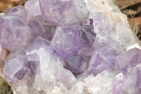 Natural Large Jacaranda Amethyst Cluster x 1 From Mumbwa, Zambia - TopRock