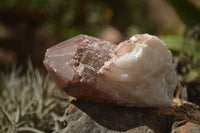 Natural Red Hematoid Quartz Crystal Clusters  x 12 From Karoi, Zimbabwe - TopRock