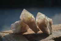 Natural Cascading White Phantom Smokey Quartz Crystals  x 35 From Luena, Congo - Toprock Gemstones and Minerals 