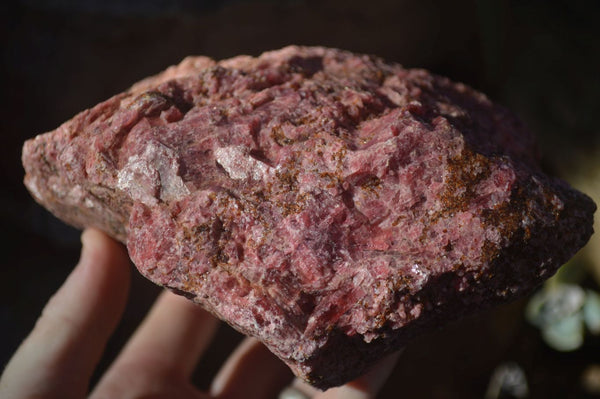 Natural Rough Rhodonite Specimens x 3 From Zimbabwe