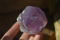 Natural Single Jacaranda Amethyst Crystals x 12 From Mumbwe, Zambia