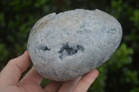 Natural Blue Celestite Crystal Centred Egg x 1 From Sakoany, Madagascar - Toprock Gemstones and Minerals 