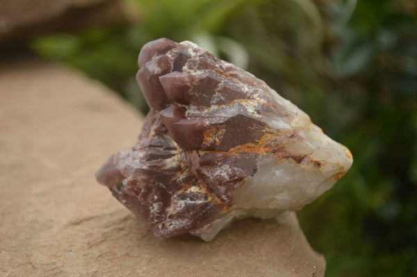 Natural Red Hematoid Quartz Specimens x 12 From Karoi, Zimbabwe - TopRock