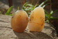 Polished Dendritic Agate Standing Free Forms  x 6 From Moralambo, Madagascar