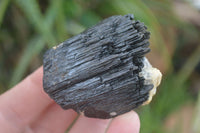 Natural Schorl Black Tourmaline Specimens With Hyalite On Some  x 6 From Erongo, Namibia - Toprock Gemstones and Minerals 