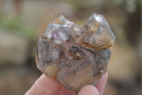 Natural Royal Zulu Window Amethyst Crystals x 12 From, South Africa