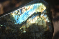 Polished Extra Large Labradorite Standing Free Form  x 1 From Tulear, Madagascar