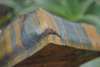 Natural Golden Blue Tigers Eye Specimens  x 2 From Prieska, South Africa - TopRock