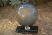 Polished  Polychrome / Picasso Jasper Spheres  x 2 From Mahajanga, Madagascar