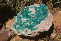 Natural Rare Massive Emerald Dioptase Specimen  x 1 From Congo - TopRock