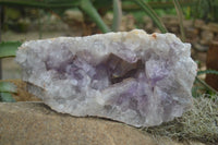 Natural Jacaranda Amethyst Cluster x 1 From Mumbwa, Zambia - TopRock