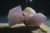 Natural Jacaranda Amethyst Specimens  x 6 From Mumbwa, Zambia - Toprock Gemstones and Minerals 