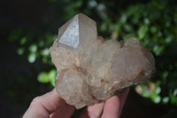 Natural Cascading White Phantom Smokey Quartz Clusters x 2 From Luena, Congo