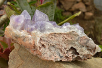 Natural Large Jacaranda Amethyst Cluster x 1 From Mumbwa, Zambia - TopRock