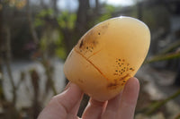 Polished Dendritic Agate Standing Free Forms  x 6 From Moralambo, Madagascar