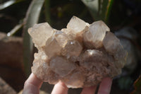 Natural Cascading Smokey Quartz Clusters x 2 From Luena, Congo