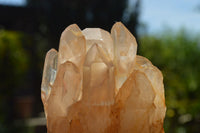 Natural Mixed Colour and Habit Quartz Clusters x 24 From Southern Africa - TopRock