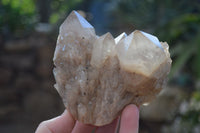 Natural Cascading White Phantom Smokey Quartz Clusters x 2 From Luena, Congo