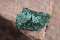 Natural Chatoyant Silky Malachite Specimens  x 12 From Kasompe, Congo - Toprock Gemstones and Minerals 