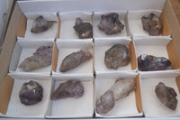 Natural Window Amethyst Crystal Specimens  x 12 From Chiredzi, Zimbabwe